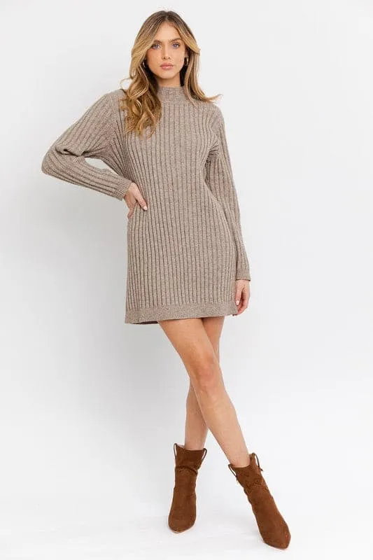 Cozy Vibes Turtleneck Sweater Dress