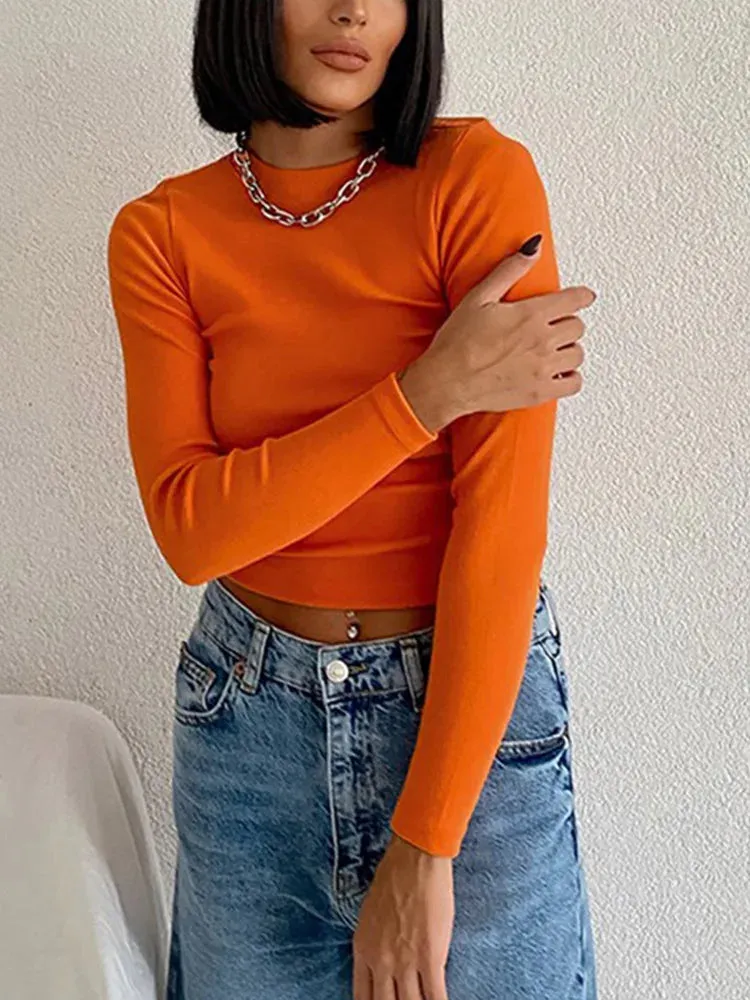 Ribbed Neck Mesh Cropped Long Sleeve Crop Top